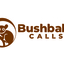 Bushbaby Calls