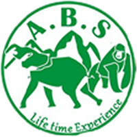 Access Budget Safaris
