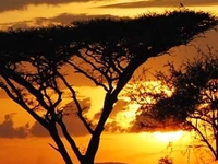 Safari Tour Package Safari Tour Package
