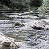 Chino Creek Chino Creek