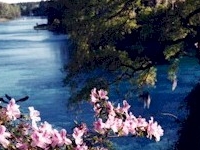 Rainbow River