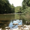 Patapsco River Patapsco River