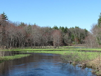 Salmon Brook Salmon Brook