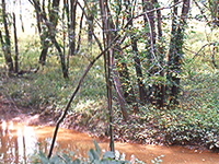 Huff Run