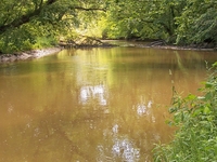 Lake Fork Mohican River