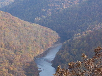 Cheat River Cheat River