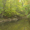 Chester Creek Chester Creek