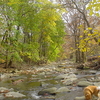 Cobbs Creek Cobbs Creek