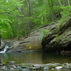 Cresheim Creek Cresheim Creek