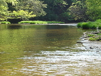 Kinzua Creek