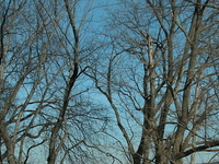 Hunting Creek