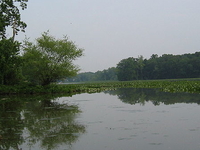 Little Hunting Creek