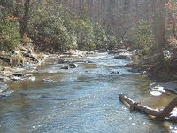 Quantico Creek