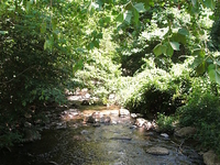 Thornton River Thornton River