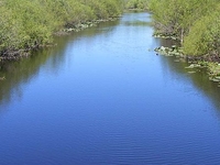 Black River