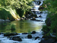 Deschutes River Deschutes River