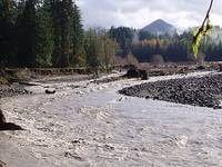 Nisqually River Nisqually River