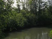 Skookumchuck River