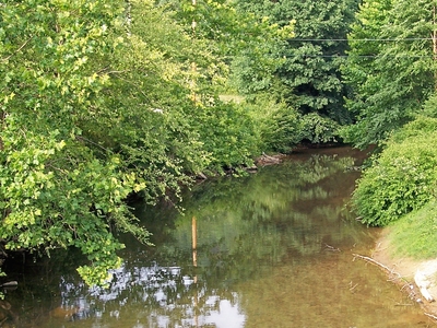 Birch River, United States Tourist Information