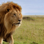 7-Night Small-Group Kenya Safari from Nairobi: Great Rift Valley Including Masai Mara 7-Night Small-Group Kenya Safari from Nairobi: Great Rift Valley Including Masai Mara