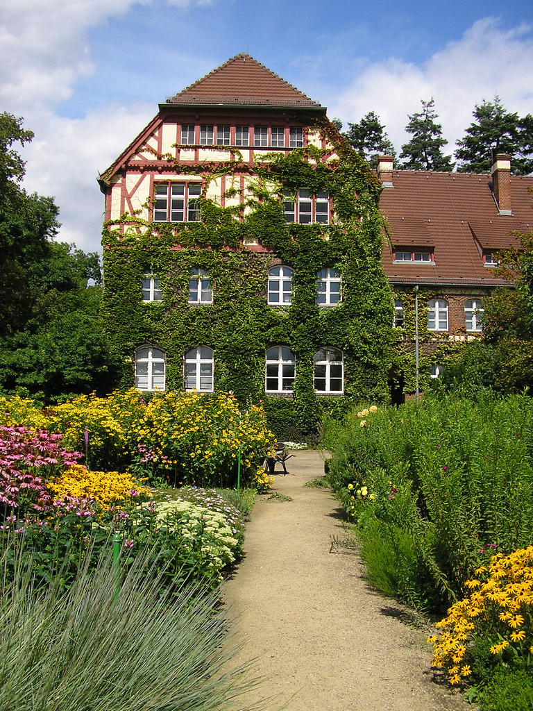 Berlin Dahlem Botanical Garden And Botanical Museum Berlin