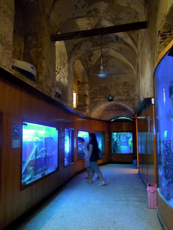 Alexandria Aquarium, Alexandria, Egypt Tourist Information