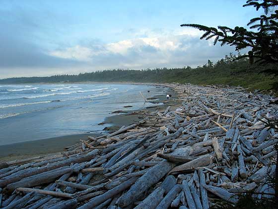 Long Beach, Canada Tourist Information