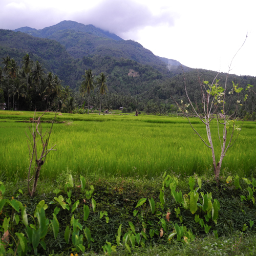 Coastal Areas in Mindanao, Philippines