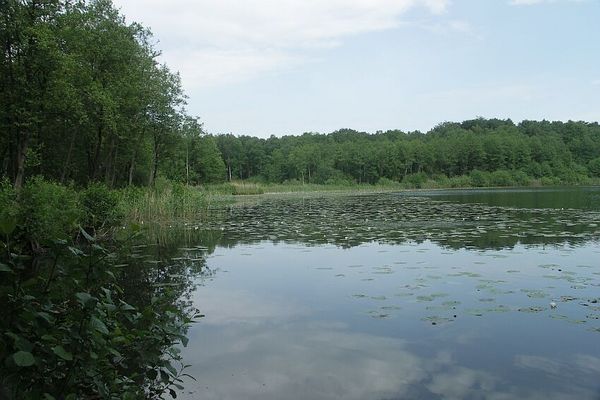 Lakes near Berlin, Germany