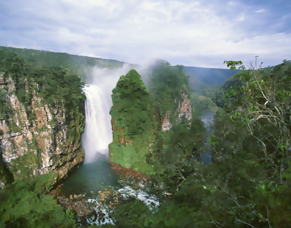Noel Kempff Mercado National Park, Bolivia Social Travel ...