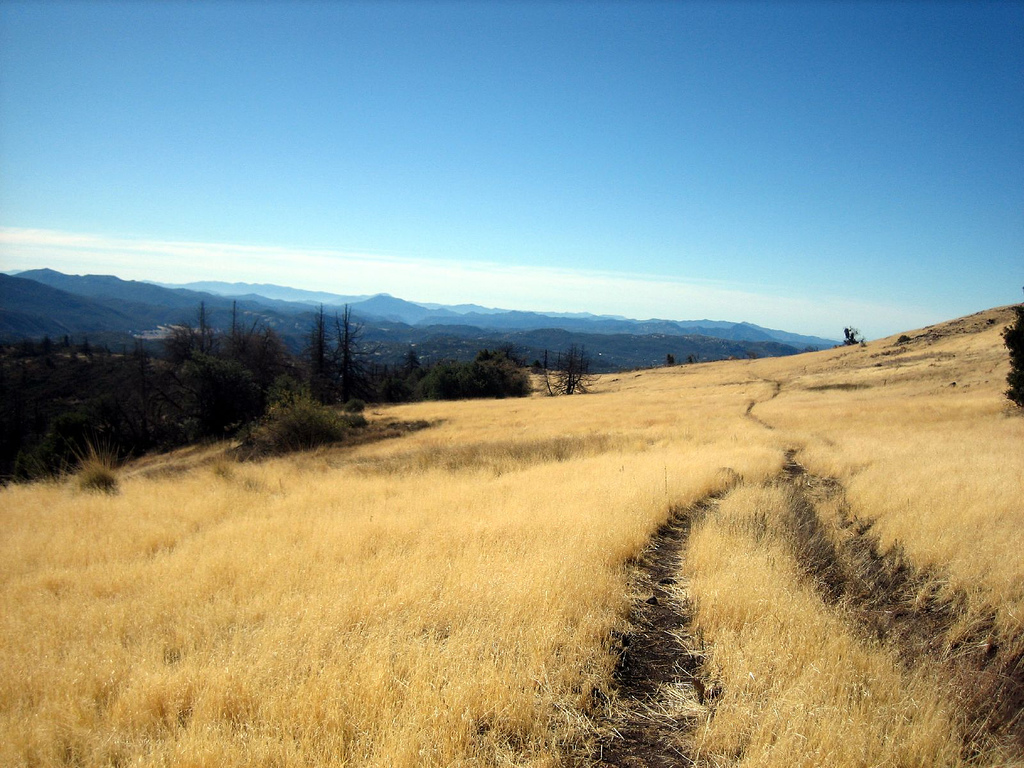 Escape to the Clouds: A Guide to Cuyamaca Rancho State Park