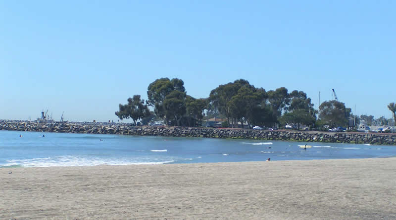 is doheny beach dog friendly