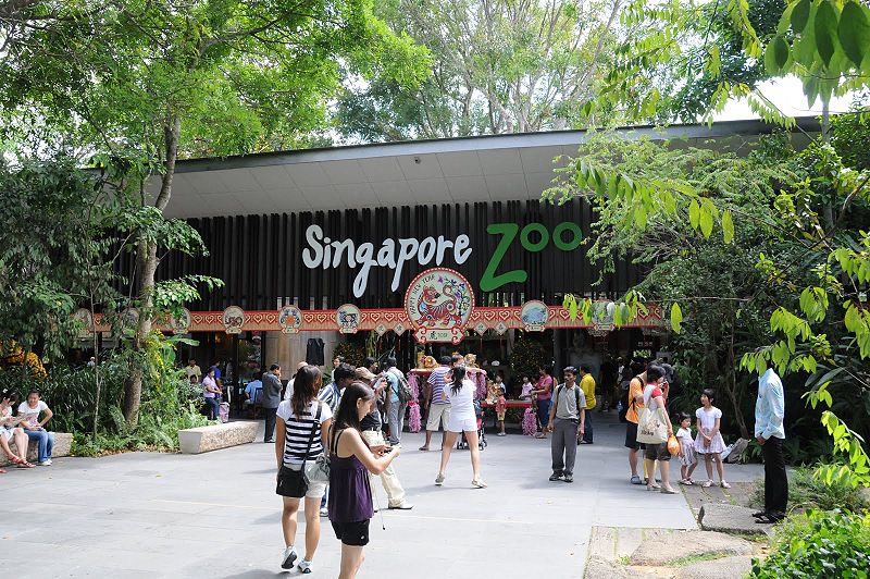 visit to singapore zoo