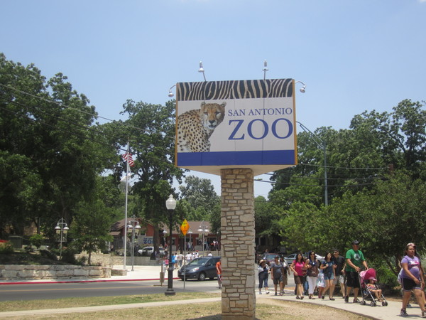 San Antonio Zoo And Aquarium, San Antonio, Estados Unidos Información ... - San Antonio Zoo AnD Aquarium Entrance  To   I M G 