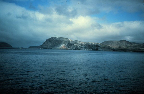 Guadalupe Island, Mexico Tourist Information