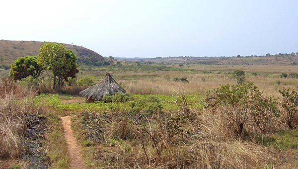 Towns and Villages in Cameroon