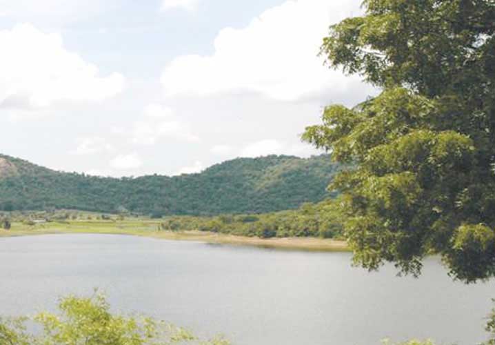 Jambughoda Wildlife Sanctuary, India Tourist Information