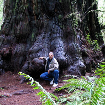 Jedediah Smith Redwoods State Park, United States Social