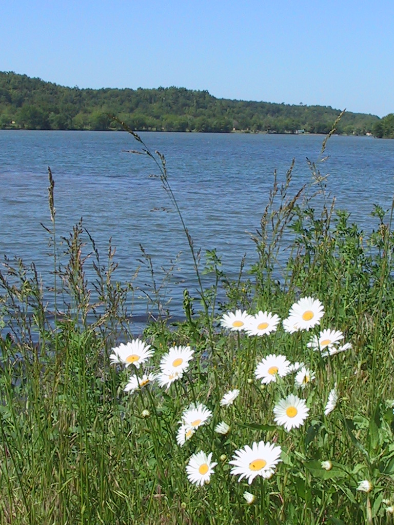 Lake Eucha, Tulsa, United States Tourist Information