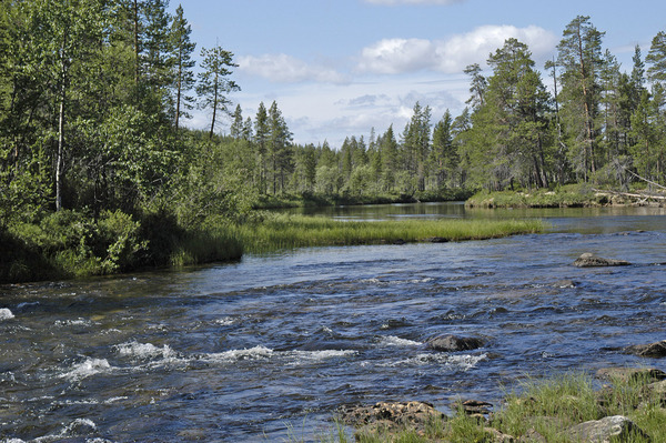 Lutto River, Finland Tourist Information