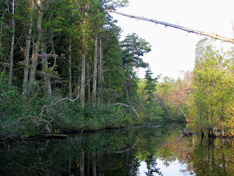 Mullica River, United States Tourist Information