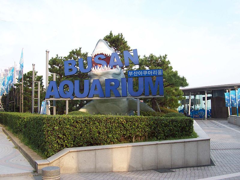Sea Life Busan Aquarium, Busan, South Korea Tourist Information