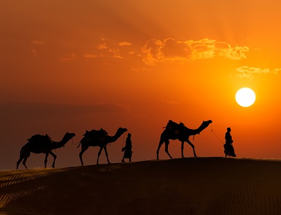 Thar Desert, India Photos