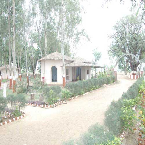 Vadhvana Wetland & Eco Campsite, Vadodara, India Tourist Information