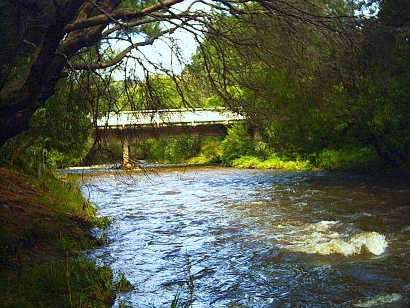 Wainuiomata River, New Zealand Tourist Information