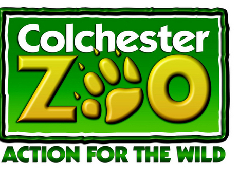 colchester zoo soft toys